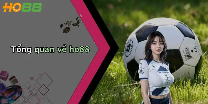 Tổng quan về ho88